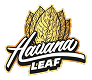 main-logo-havana