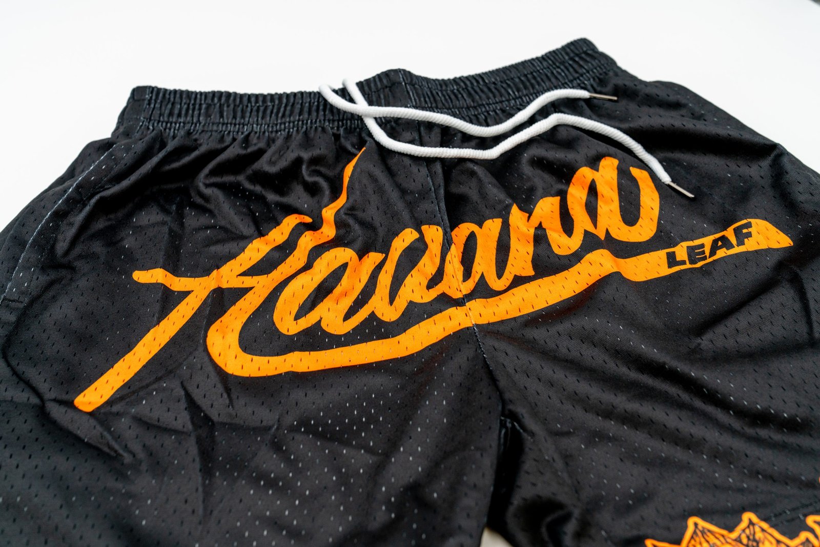 1800 Points - Havana Leaf Shorts – Chocolate Stout Edition - Image 5